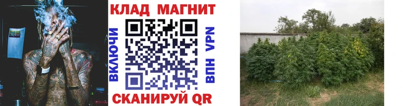 Какие есть наркотики Елизаветинская МАРИХУАНА  Alpha PVP  АМФ  Мефедрон  COCAIN  ГАШИШ 