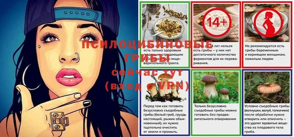 гидра Медногорск