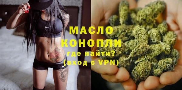 гидра Медногорск