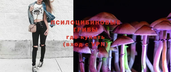 гидра Медногорск