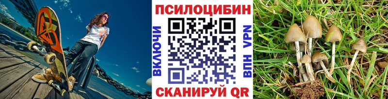 Галлюциногенные грибы прущие грибы Елизаветинская