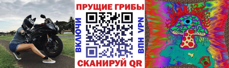 Псилоцибиновые грибы мухоморы  где купить наркоту  hydra рабочий сайт  Елизаветинская 